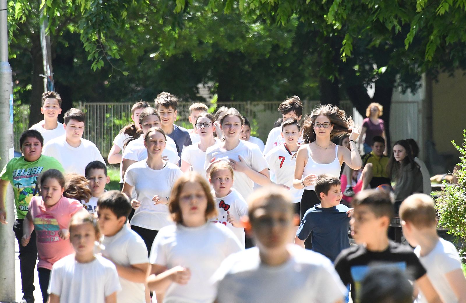 Kategóriagyőztes lett Székesfehérvár a Kihívás Napján